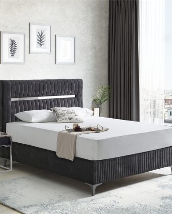 Olivia Baza Olivia Baza